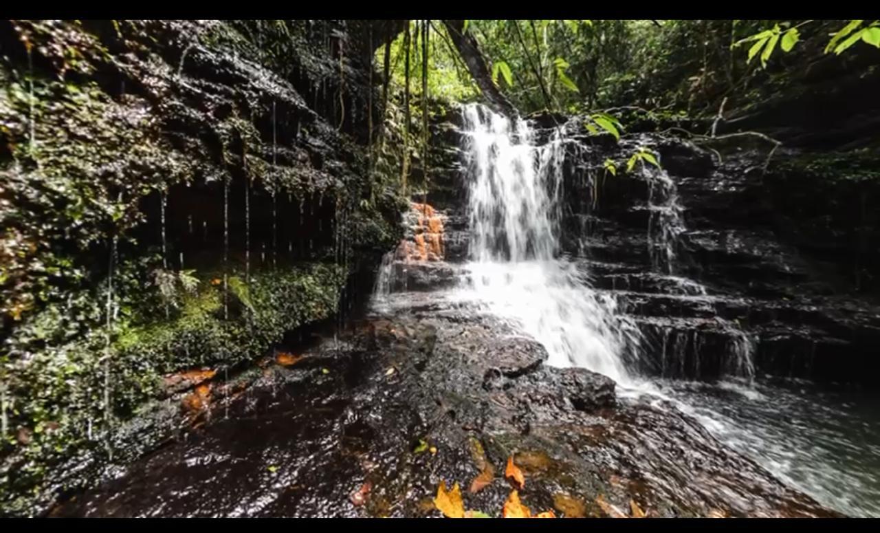 Condomínio Portal da Natureza